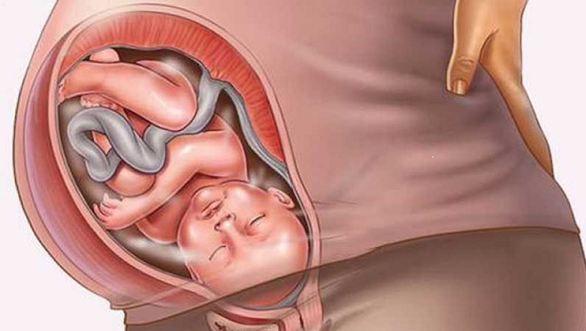 सतर्कता