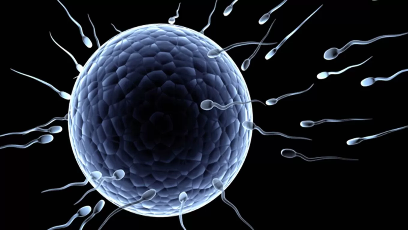 क्या आपने ये सभी जांचें करा लीं ?